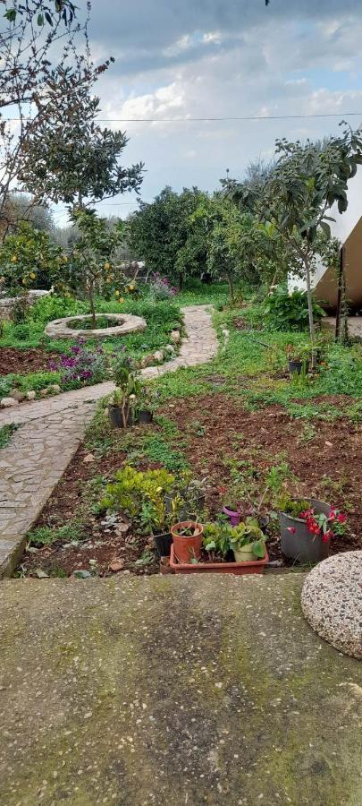 A Modern Farmhouse With Big Garden Trápeza Kültér fotó