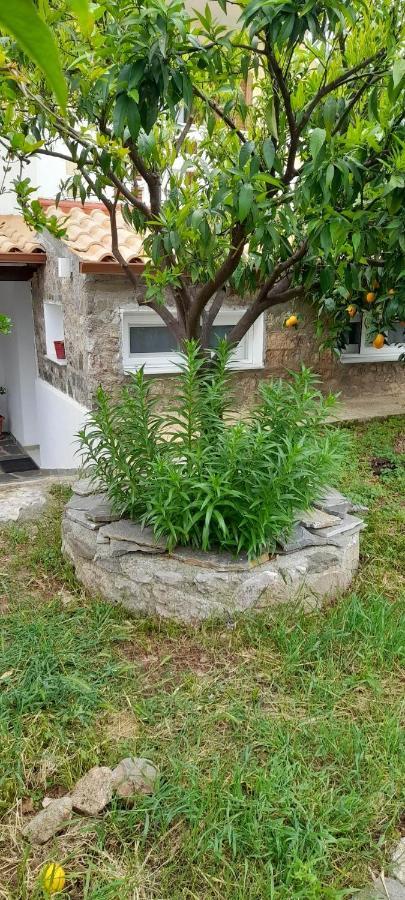 A Modern Farmhouse With Big Garden Trápeza Kültér fotó